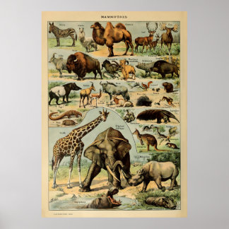 Poster Adolphe Millot Animaux
