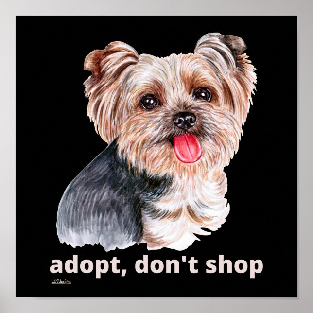 Poster ADOPT, NE SHOP (Yorkshire Terrier) chien mignon (Devant)