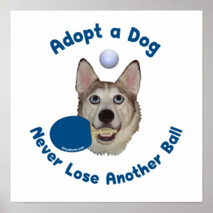 Poster Adopter un chien Ping Pong