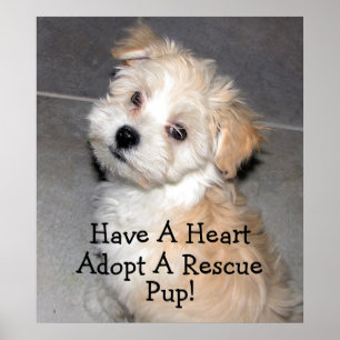 Poster Adoptez Une Secourt !