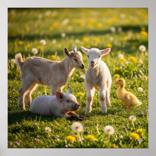 Poster Adorable Baby Farm Animaux