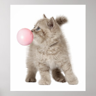 Poster Adorable Chat Chat Bubble Gum Nursery Enfant