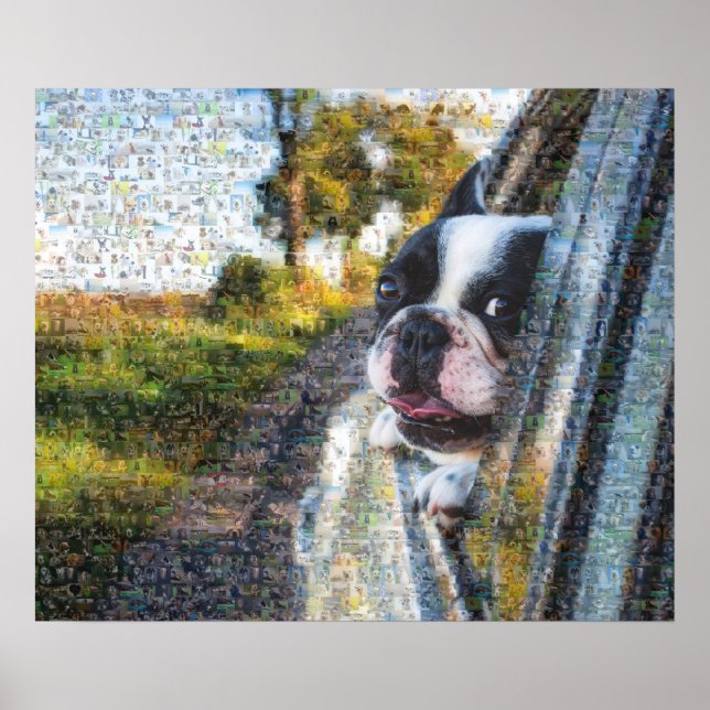 Poster Adorable chien accroché à la mosaïque de la fenêtr (Devant)