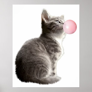 Poster Adorable Gray Kitten Chat Bubble Gum Nursery Enfan