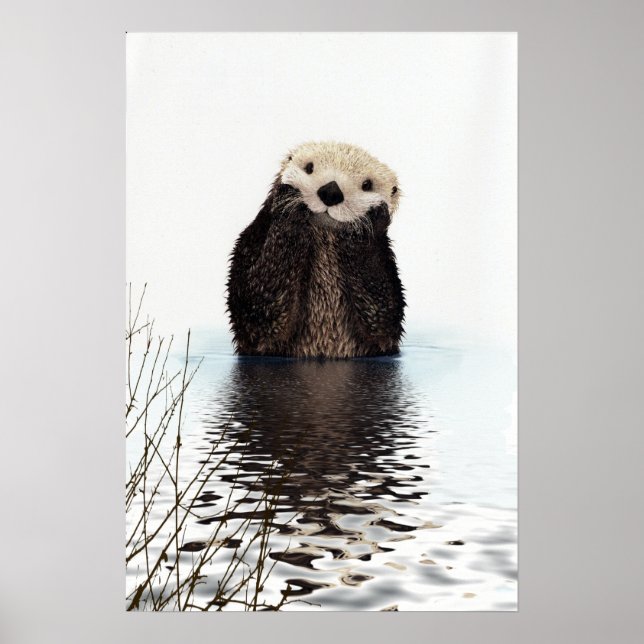 Poster Adorable Otter souriant dans le lac (Devant)
