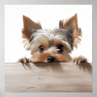 adorable yorkshire terrier photographie