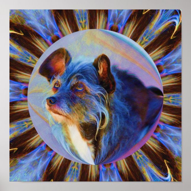 Poster Adoring Dog Eyes Art animal Abstrait (Devant)