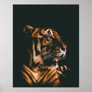 POSTER ADULTE TIGER PRONE MENANT À L'INTÉRIEUR DE LA SALL