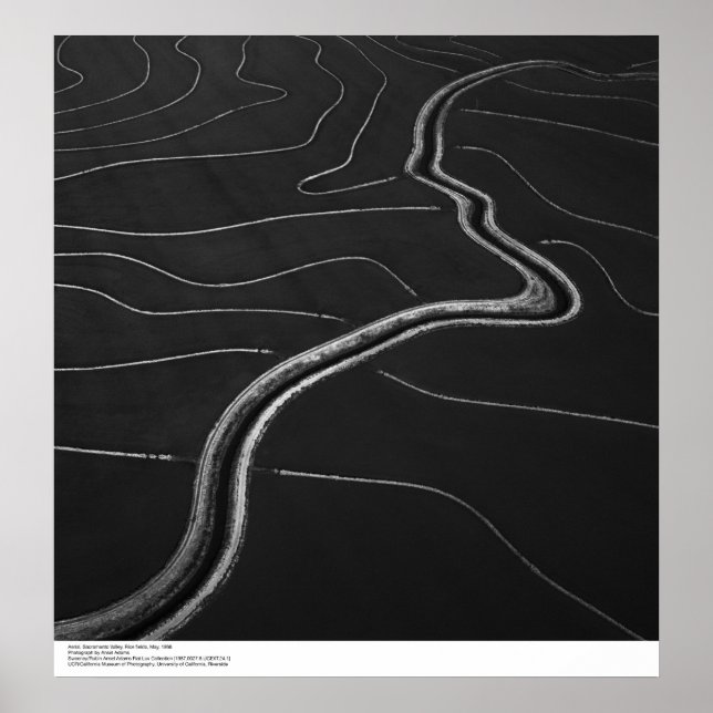 Poster Aérien, vallée de Sacramento, champs de riz Mai 19 (Devant)