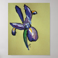 Aéronautique Iris Art Moderne Peinture Imprimer Po