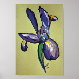 Poster Aéronautique Iris peinture moderne Art Imprimer Po