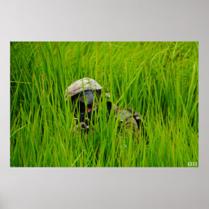 Poster Aéronef en lames de gazon