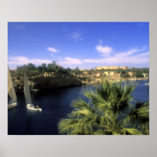 Poster AF, Égypte, Haute-Égypte, Assouan. Nil,
