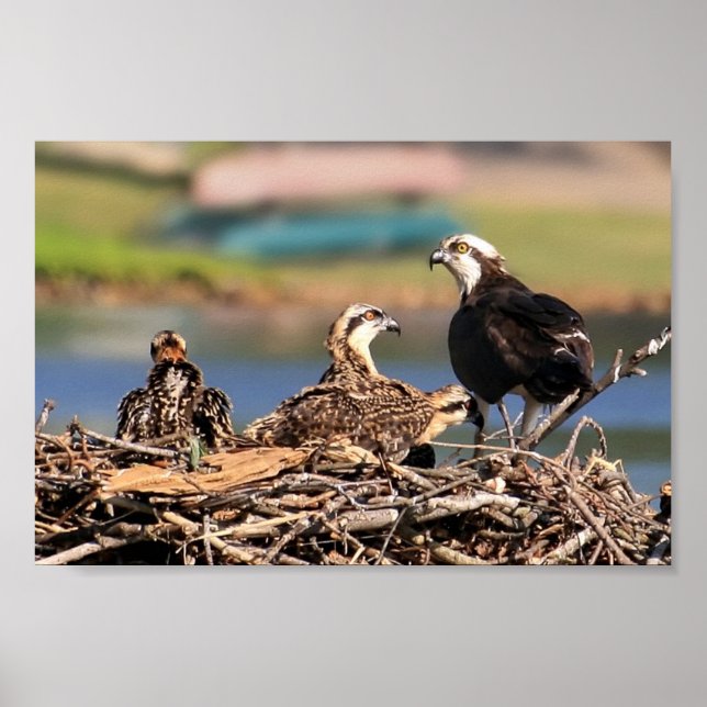 Poster affaire familiale (Devant)