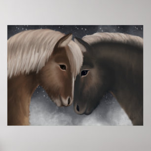 Poster Affection arctique : Chevaux islandais en Embrac n