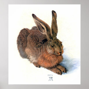 Poster Affiche/copie : Le lapin