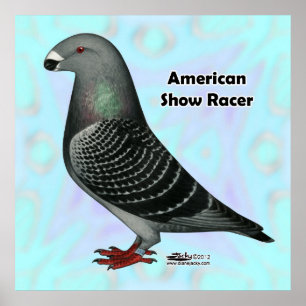 Poster Afficher l'ASR racer