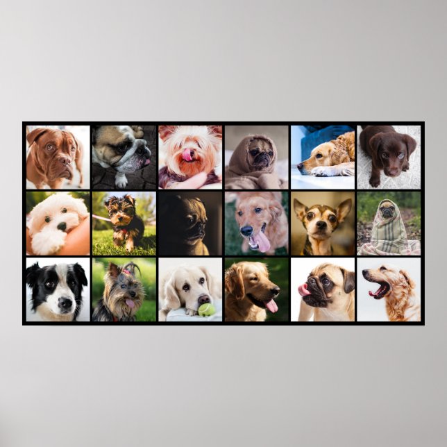Poster Afficheur Amoureux des chiens (Devant)