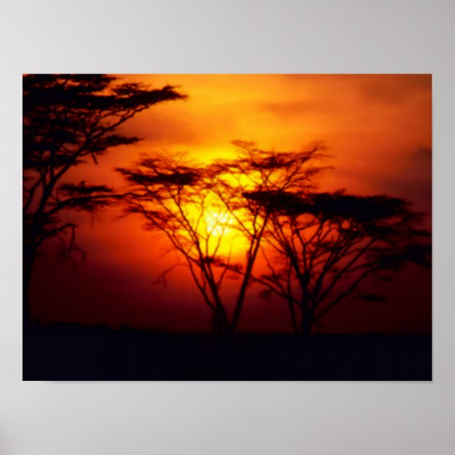 Poster africain sur le coucher de soleil (Devant)