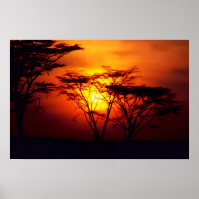 Poster africain sur le coucher de soleil (Devant)