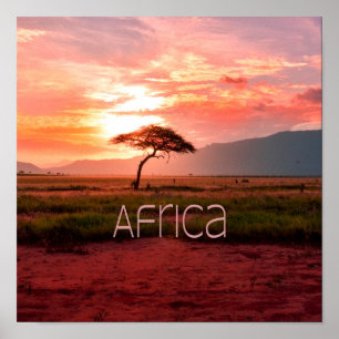 Poster Afrique Coucher de soleil