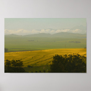 Poster Afrique du Sud Paysage rural Canola Fields