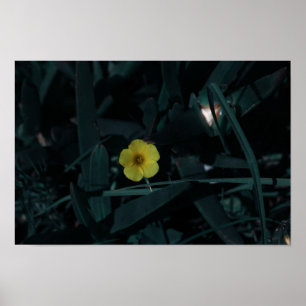 Poster Afrique du Sud Vert Jaune Fleurs indigènes