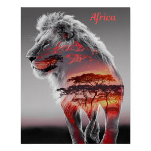 Poster Afrique - Illustration d'un lion