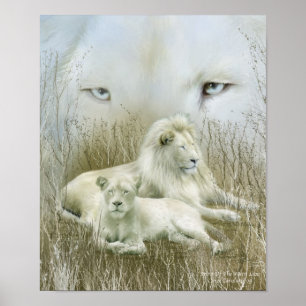 Poster Afrique - Spirit Of The White Lion Art Poster/Impr