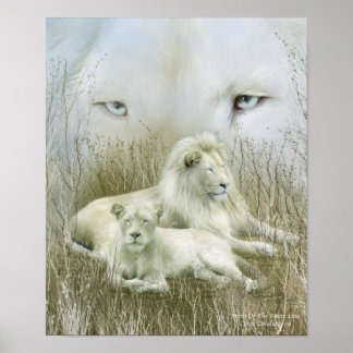 Poster Afrique - Spirit Of The White Lion Art Poster/Impr
