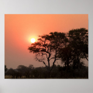 Poster Afrique Sunset Trees Nature Paysages Ciels