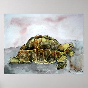 Poster afrique tortue terre carte d'affiche