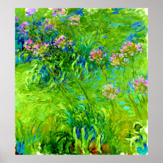 Poster Agapanthus par Claude Monet