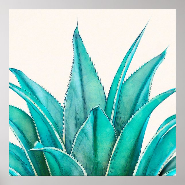 Poster Agave (Devant)