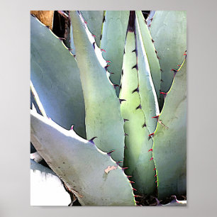 Poster Agave Plant Succulent Blue Cacti Tequila Desert