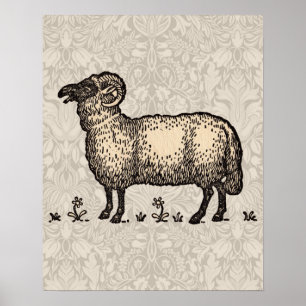 Poster Agneau de mouton Vintage animal de ferme