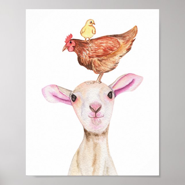 Poster Agneau mignon Poulets de Baryard Aquarelle (Devant)