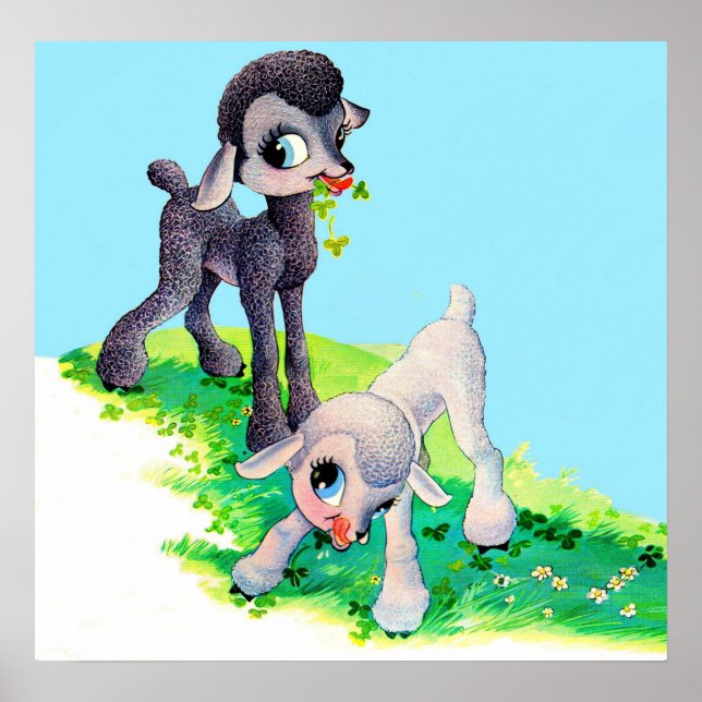 Poster agneau noir agneau blanc (Devant)