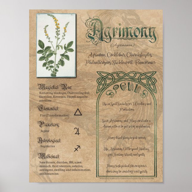 Poster Agrimony Herbal Livre d'ombres Pagan Wiccan (Devant)