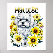 Ai Art de l'aquarelle maltaise pour les propriétai
