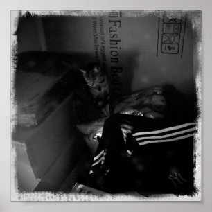 Poster Aide à la mobilité Indigo