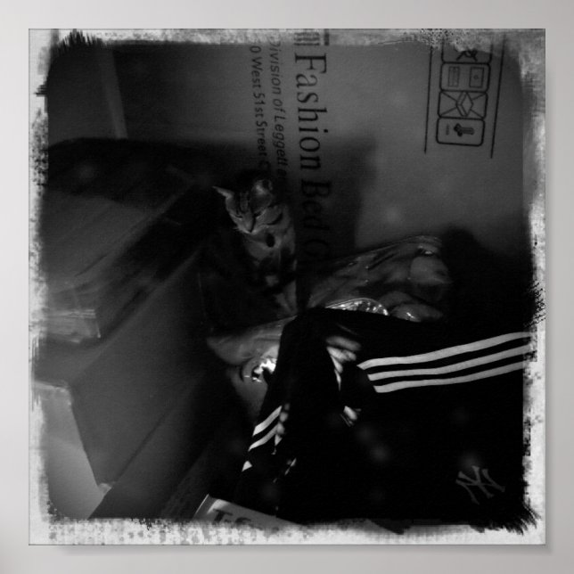 Poster Aide à la mobilité Indigo (Devant)