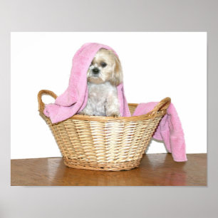 Poster Aide de blanchisserie