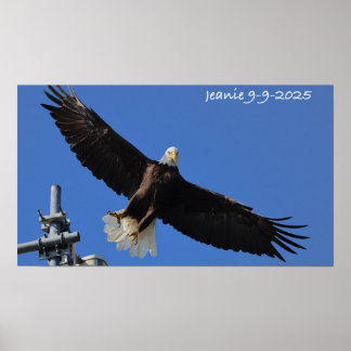 Poster Aigle
