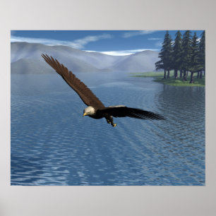 Poster Aigle