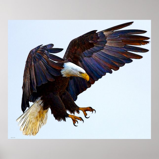POSTER AIGLE (Devant)