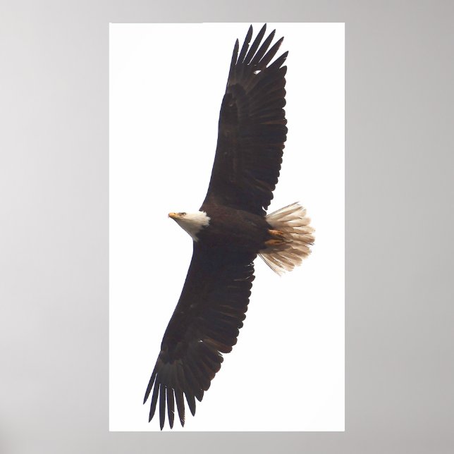 Poster Aigle 20 avril 2025 (Devant)