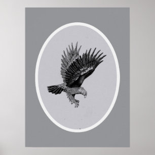 Poster Aigle à la lumière
