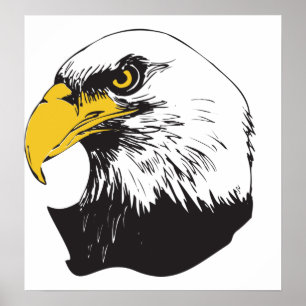 Poster Aigle à tête blanche américaine