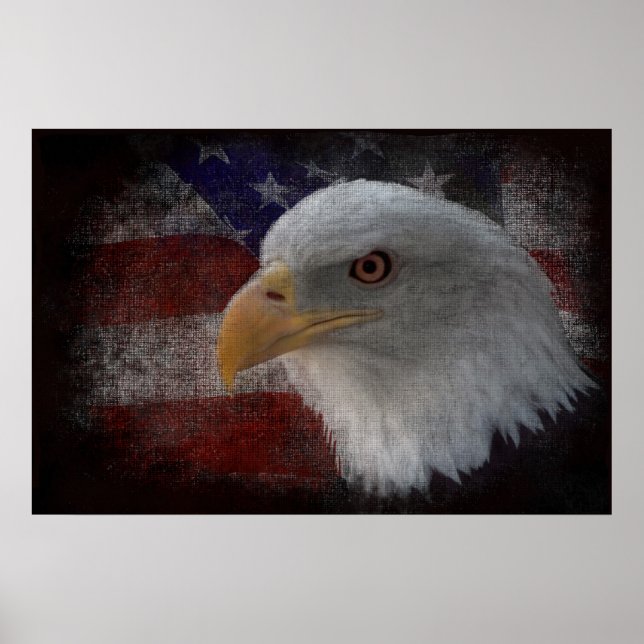 Poster Aigle à tête blanche américaine sur drapeau (Devant)